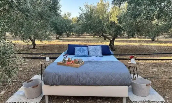  Νοικιάζουν κρεβάτι μέσα στις… ελιές από 106 ως  126 ευρώ τη νύχτα – Οι δραστηριότητες και οι τσουχτερές τıμές τους