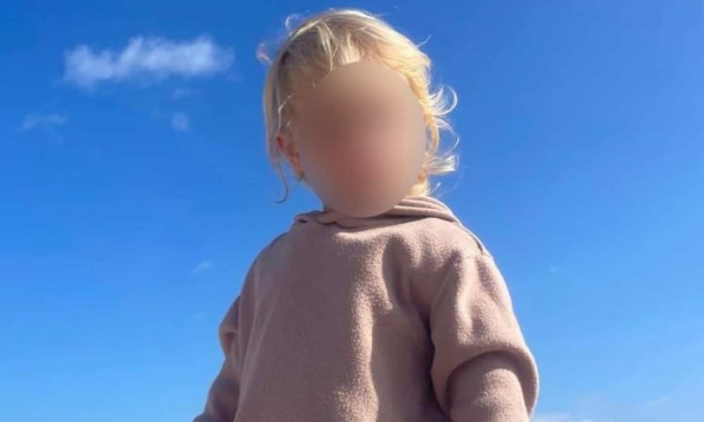 Ζάκυνθος: Aυτό είναι το ξανθό αγγελούδι που κατασπάραξε το πίτμπουλ χτες